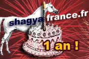 Premier anniversaire  de shagyafrance.fr
