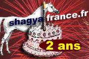 Deuxième anniversaire de shagyafrance.fr