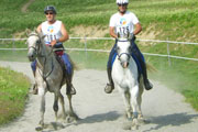 Discipine de sport d'endurance pour les chevaux shagyas