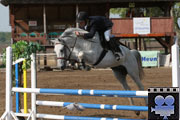Discipine de sport obstacle pour les chevaux shagyas